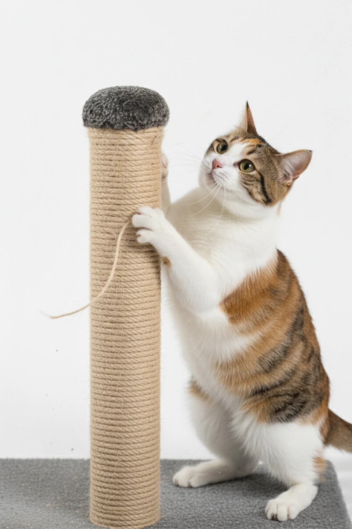 Kedi Tırmalama Tahtası 42 cm – 30x30 Taban Doğal Sisal İpli Güçlü GövdeMobilya Çizilmesini Önler
